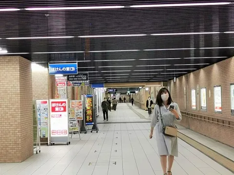 Saham-saham jatuh di Jepang, sementara sebagian besar pasar Asia tutup karena libur Tahun Baru Imlek.