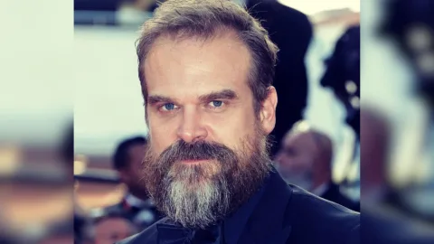 Eksplorasi Komedi Gelap: David Harbour Bintangi Serial 'DTF' yang Mengangkat Sisi Lain Kehidupan di St. Louis