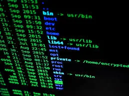 Waspada Siber: Spyware Berbahaya Menyamar Sebagai Peringatan Darurat Pemerintah