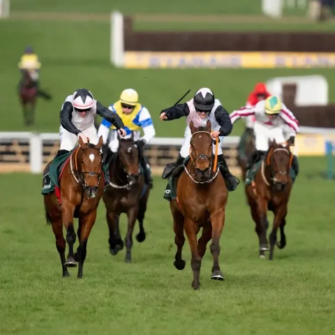 Gema "Cheltenham Roar" Kembali! Panduan Lengkap Cheltenham Festival 2026—Jadwal Balapan, Kuda Unggulan, dan Cara Menyaksikan Pertempuran Kelas Berat di Prestbury Park!