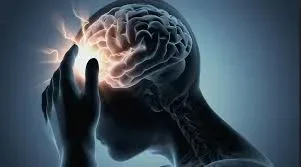 Gahar! Ilmuwan Temukan Kaitan Mengejutkan Antara Bakteri Usus dan Penurunan Daya Ingat Saat Menua