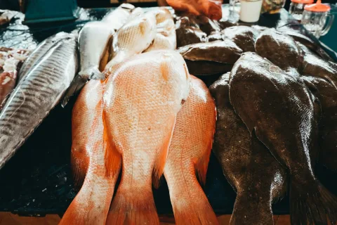 Disiplin Fiskal di Ujung Tanduk: Strategi Pemerintah Hadapi Risiko Defisit Akibat Gejolak Global