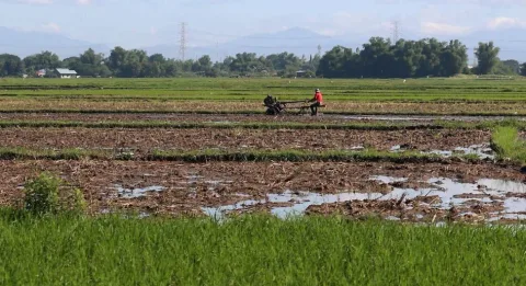 Perebutan Kelangsungan Hidup: Perkelahian Petani di Hamgyong Utara Picu Ketegangan atas Lahan "Non-Arable"