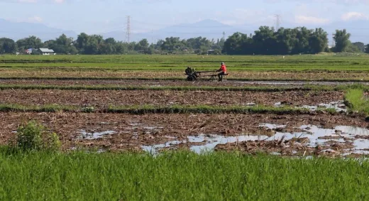 Perebutan Kelangsungan Hidup: Perkelahian Petani di Hamgyong Utara Picu Ketegangan atas Lahan "Non-Arable"