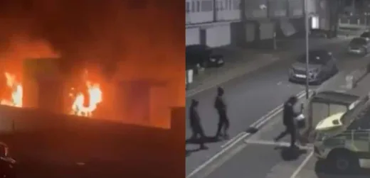 Pahlawan Biru: Spesies Laut "Tak Terduga" Ditemukan Percepat Penyerapan Karbon Dunia