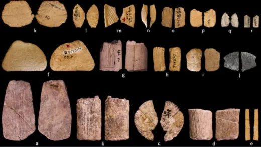 Ancient Math! Dadu Zaman Es Ungkap Pemahaman Probabilitas Penduduk Asli Amerika Kuno