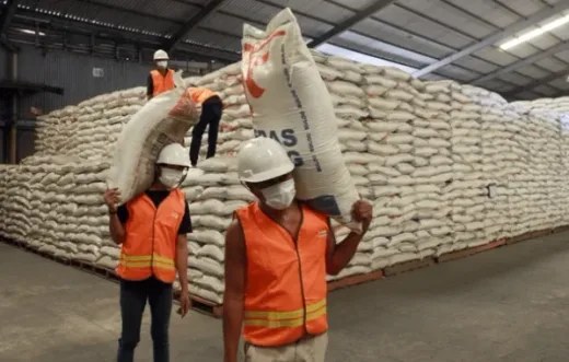 Stabilisasi Pangan 2026: Bulog Bidik Penyaluran 828 Ribu Ton Beras SPHP guna Redam Volatilitas Harga
