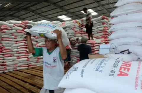 Ekspansi Ekspor Pupuk: Indonesia Bidik Cuan di Tengah Distrupsi Supply Chain Global