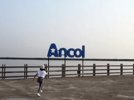 Target Growth 10%: Strategi Ancol (PJAA) Reaktivasi Hiburan Malam dan Beach Club Baru