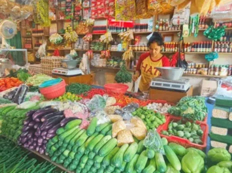 Ekspansi Program Makan Bergizi Gratis (MBG): Rantai Pasok Sayuran Nasional Hadapi Tantangan Link and Match