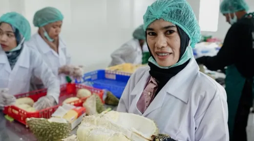 Ekspansi Pasar: Indonesia Kirim 25 Juta Ton Durian ke Tiongkok