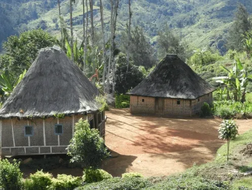 Akselerasi Infrastruktur Papua: Pemerintah Targetkan Bedah Rumah 21.000 Unit Secara Masif
