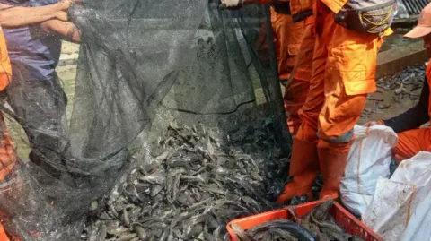 Lingkungan: Jakarta Targetkan 10 Ton Ikan Sapu-Sapu Invasif di Tengah Kekhawatiran Pangan