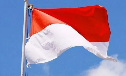 Keamanan: 15 Orang Tewas dalam Operasi Militer di Papua