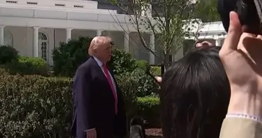 Diplomasi Tanpa Broker: Trump Batalkan Mediasi Pakistan untuk Iran dan Kedaulatan Kontak Langsung 2026