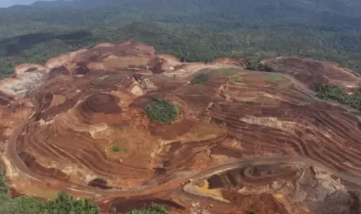 Urgensi Ekologis: Angka Deforestasi Indonesia Melonjak Tajam dan Tantangan Kedaulatan Tata Kelola Hutan 2026