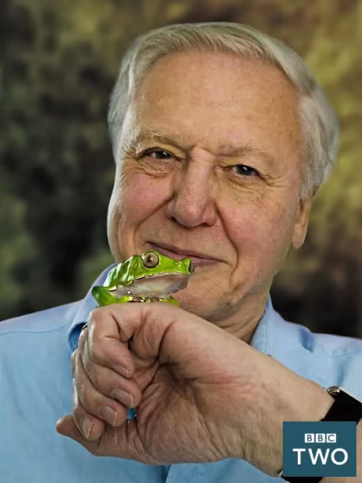 Rahasia Umur Panjang Sir David Attenborough: Enam Pelajaran Hidup Menuju Usia 100 Tahun