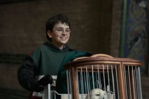 Serial TV Harry Potter Resmi Berlanjut ke Musim Kedua Sebelum Penayangan Perdana