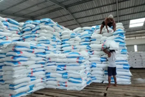 Deadline Krusial: Pemutakhiran e-RDKK Berakhir Hari Ini, Jaminan Akses Pupuk Subsidi Petani Dipertaruhkan