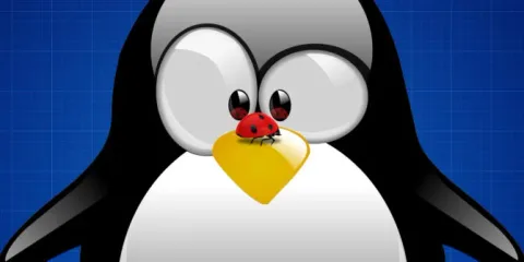 Waspada Dirty Frag: Bug Baru Kernel Linux yang Memungkinkan Akses Root Total Secara Instan