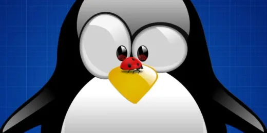 Waspada Dirty Frag: Bug Baru Kernel Linux yang Memungkinkan Akses Root Total Secara Instan