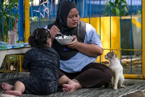 Jakarta Darurat Kucing Liar: 1,5 Juta Ekor Ancam Keseimbangan Kota