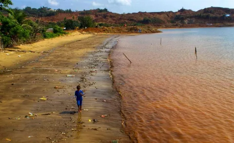 Kesepakatan Dagang RI-AS: Pesta Mineral Kritis atau Jebakan Baru bagi Kedaulatan?