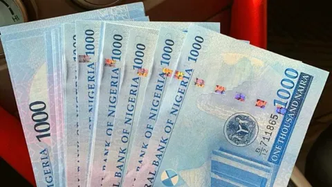 Naira Makin Tertekan: Selisih Kurs Resmi dan Pasar Gelap Melebar ke N45 per Dolar