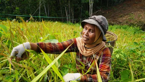 Di Balik Gemerlap IKN: Perempuan Adat Balik Kehilangan Ruang Hidup dan Identitas