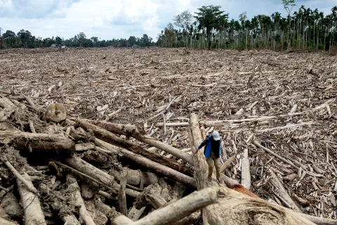 Bencana Sumatera Bukan Cuaca Ekstrem Murni: LBH Padang Bawa Bukti Deforestasi ke PBB