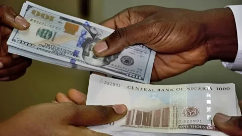Naira Tertekan di Tengah Pasokan Valas Terbatas, Cadangan Devisa Nigeria Tembus 51 Miliar Dolar