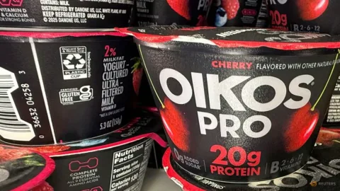 Perang Yoghurt Protein: Danone vs Chobani, Siapa yang Paling Jujur?