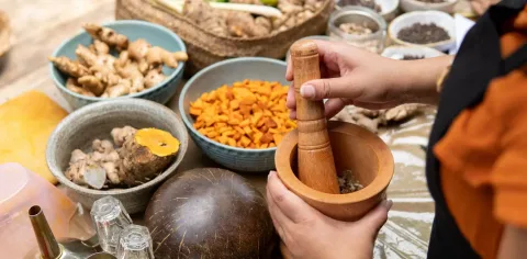 Pengetahuan Tanaman Obat Berbak di Jambi Terancam Punah: Butuh Edukasi dan Ekonomi