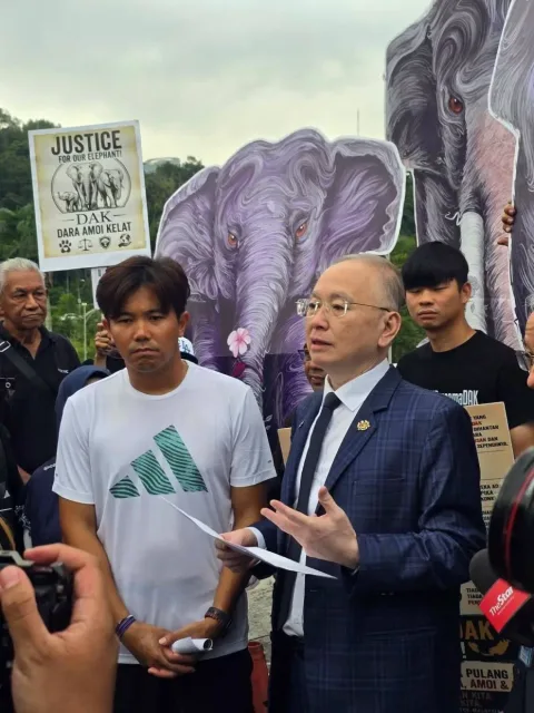 Lari Solidaritas 290 Km Berujung di Parlemen: Nasib Tiga Gajah Malaysia di Jepang Mendesak