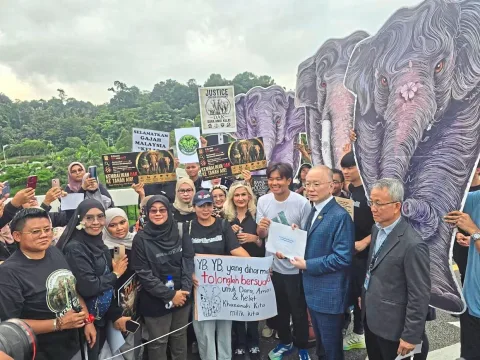 Petisi Pemulangan Tiga Gajah Malaysia dari Jepang Tembus Parlemen: Lari 290 Km untuk Dara, Amoi, dan Kelat