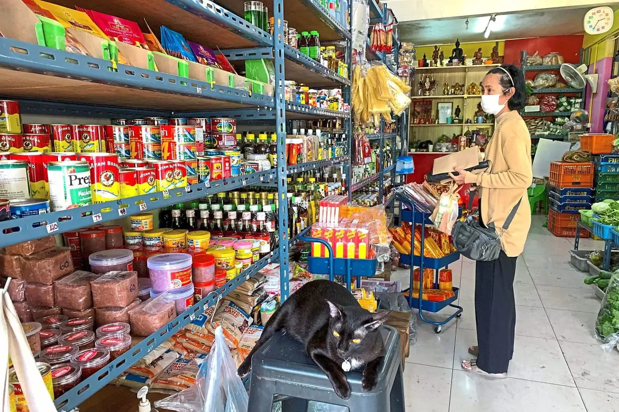 Pinjaman Rp190 Triliun Thailand Diuji di MK: Nasib Subsidi dan Transisi Energi Taruhan