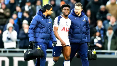 Tottenham Gempur Bursa Transfer: Siapkan £73 Juta untuk Cody Gakpo demi Duet Eksplosif dengan Kudus