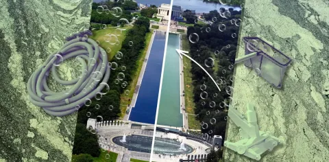 Nanobubbles Jadi Senjata Baru Lawan Alga di Kolam Lincoln Memorial