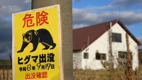 Serangan Beruang Meningkat, Pinggiran Tokyo Siapkan 700 Semprotan Anti-Beruang untuk Sekolah