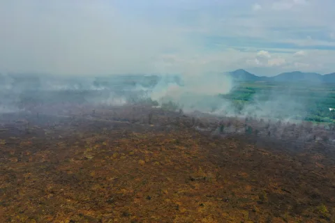 Ancaman Karhutla di Kalimantan Meningkat: 91% Hotspot Berada di Area Konsesi