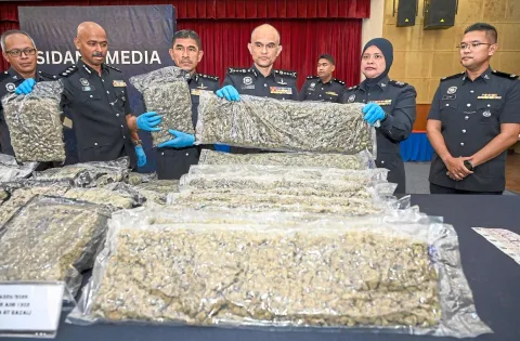 Polisi Malaysia Gagalkan Tiga Upaya Penyelundupan Ganja ke Eropa dalam Sepekan