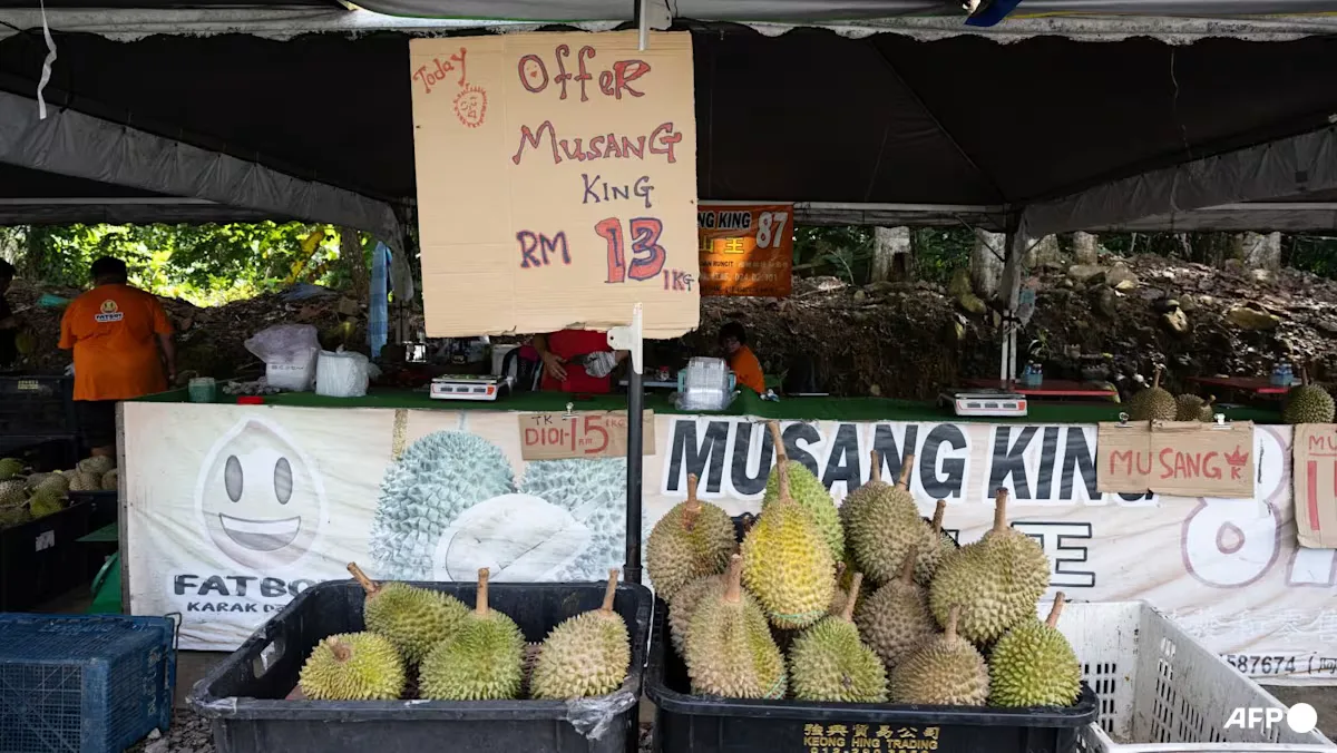 Harga Durian Musang King Anjlok 90%, Malaysia Nikmati 'Tsunami Durian'