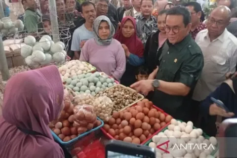 Harga Pangan Terkendali, Pemerintah Gencarkan Pengawasan Langsung ke Pasar Tradisional