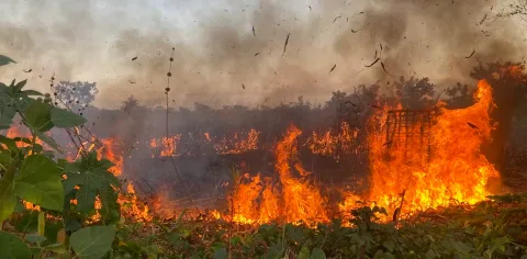 Perang Saudara Angola Ubah Pola Pembakaran Lahan: Pelajaran bagi Tata Kelola Api