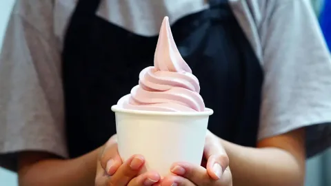 Frozen Yogurt vs Es Krim: Mana yang Lebih Sehat? Ini Kata Ahli Gizi