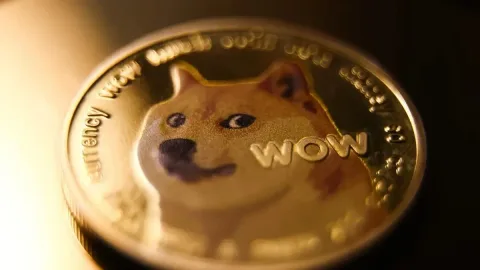 Spacex Melaju ke Nasdaq-100, Dogecoin Terangkat 2%
