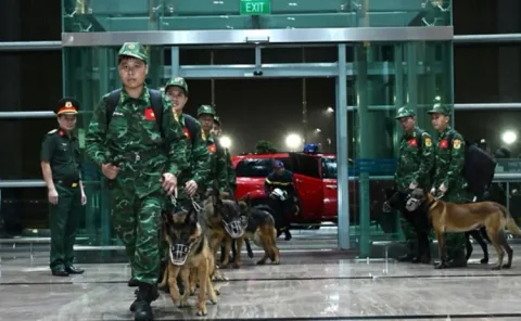 Vietnam Kirim 82 Personel Militer ke Venezuela untuk Misi Gempa: Ketiga Kalinya dalam Operasi Luar Negeri