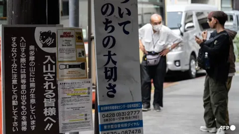 Serangan Beruang di Jepang Meningkat Drastis, Lima Tewas dalam Tiga Bulan