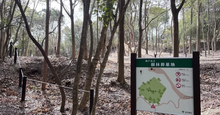 Makam Hutan di Kobe Ludes Terjual: 1.038 Pendaftar untuk 80 Kuota, Tanda Rindu Manusia pada Alam