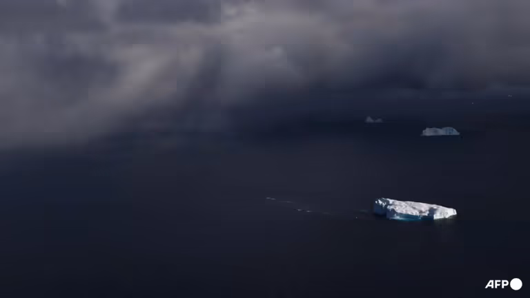 Suhu Laut Global Pecahkan Rekor Juni Terpanas, El Nino dan Karbon Jadi Pemicu
